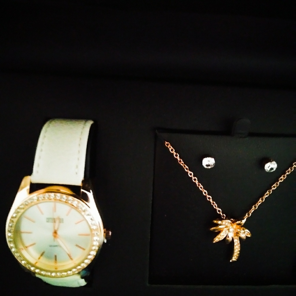 Gift Set: Watch, Necklace and Earrings